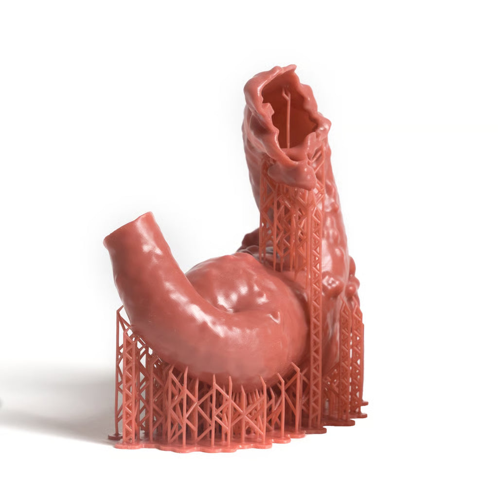 Prusament Resin Flex Anatomic Red 1kg